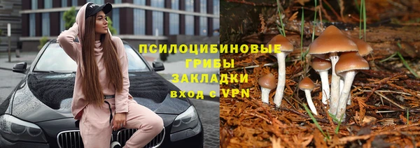 спиды Баксан