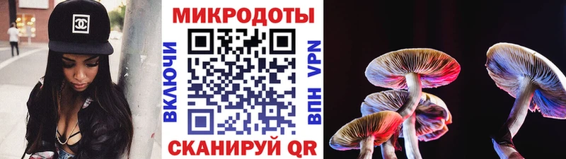 ссылка на мегу   купить наркотик  Ворсма  Галлюциногенные грибы Psilocybe 